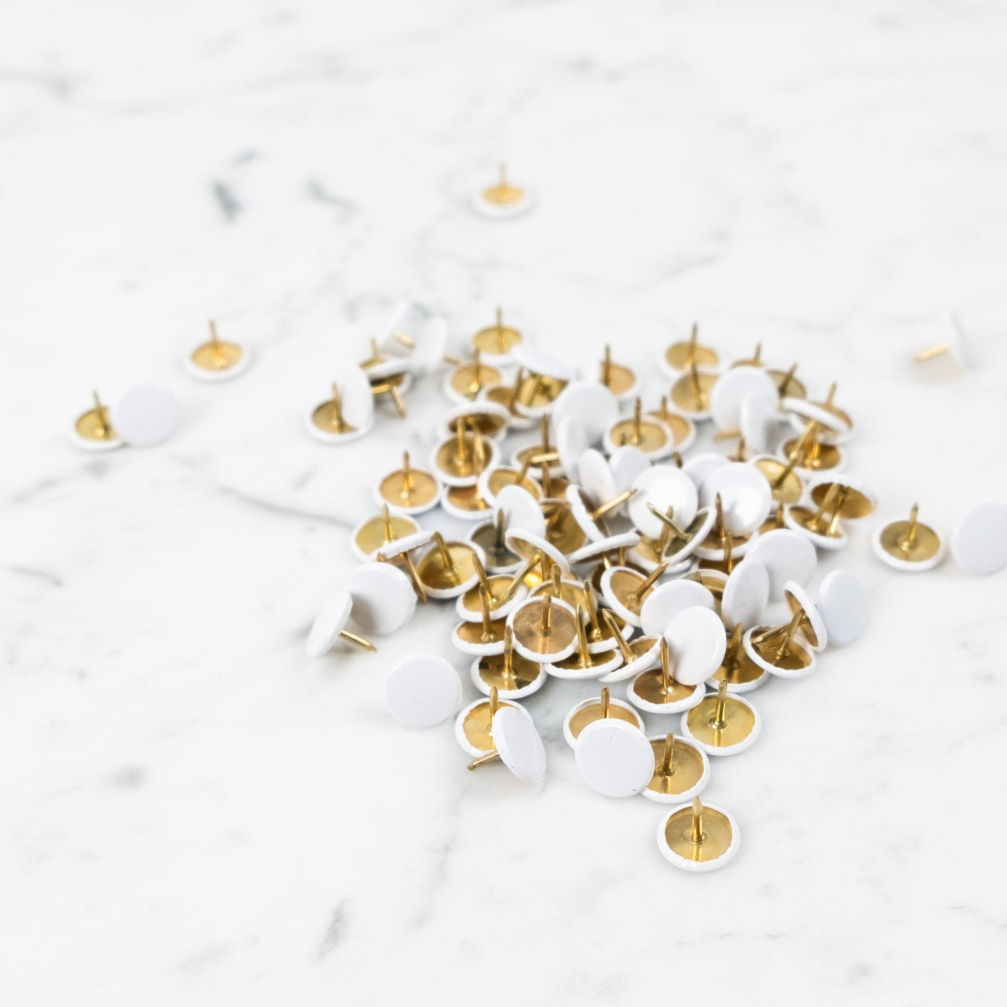 Leone Puntine Blanche Pushpins - White - Box of 100 - The Foundry Home Goods